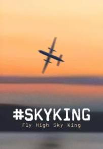 #SKYKING