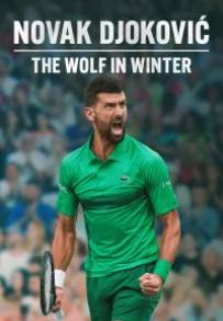 NOVAK DJOKOVIC: IL LUPO D'INVERNO